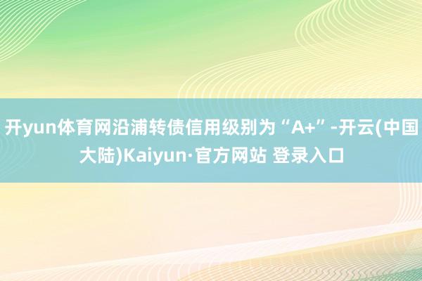 开yun体育网沿浦转债信用级别为“A+”-开云(中国大陆)Kaiyun·官方网站 登录入口