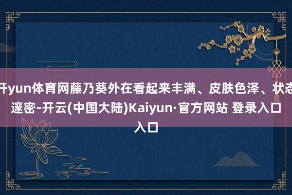开yun体育网藤乃葵外在看起来丰满、皮肤色泽、状态邃密-开云(中国大陆)Kaiyun·官方网站 登录入口