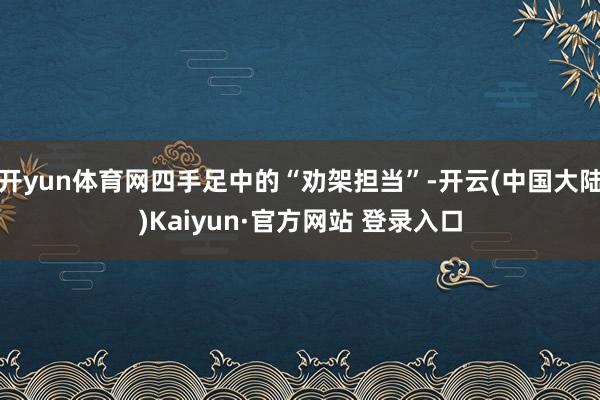 开yun体育网四手足中的“劝架担当”-开云(中国大陆)Kaiyun·官方网站 登录入口