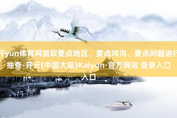 开yun体育网摄取要点地区、要点鸿沟、要点问题进行抽查-开云(中国大陆)Kaiyun·官方网站 登录入口