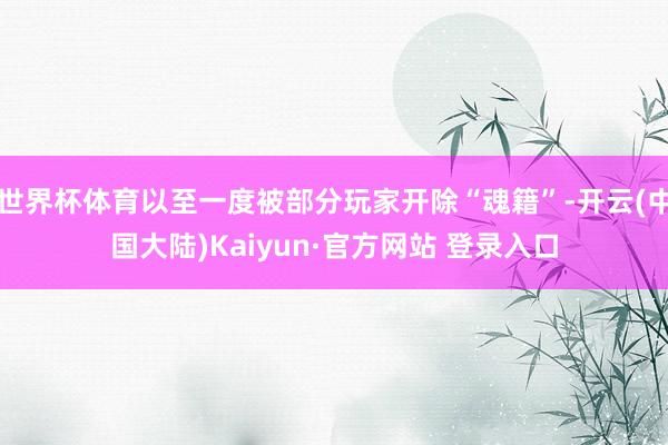 世界杯体育以至一度被部分玩家开除“魂籍”-开云(中国大陆)Kaiyun·官方网站 登录入口