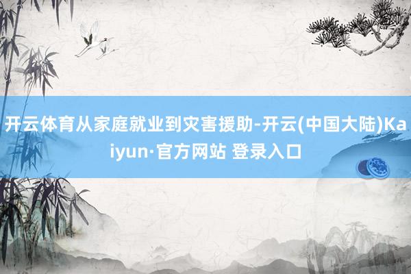 开云体育从家庭就业到灾害援助-开云(中国大陆)Kaiyun·官方网站 登录入口