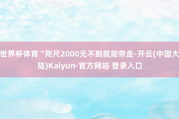 世界杯体育“咫尺2000元不到就能带走-开云(中国大陆)Kaiyun·官方网站 登录入口